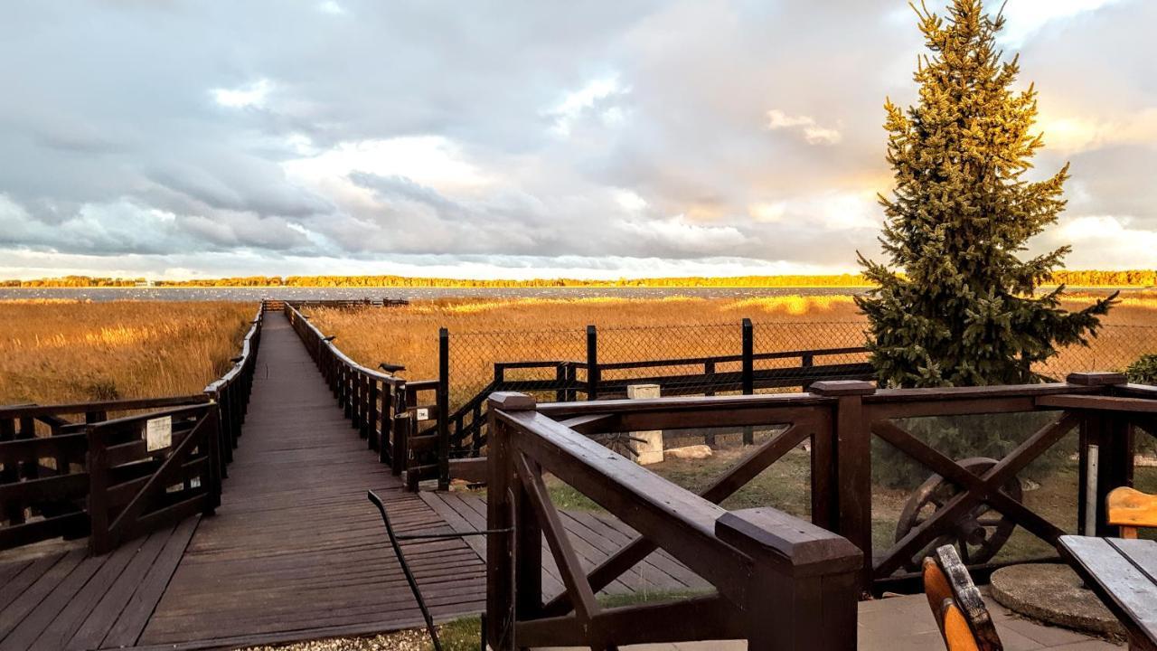 Avila Park & Spa Дзивновек Экстерьер фото